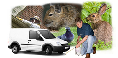 Bromsgrove local van